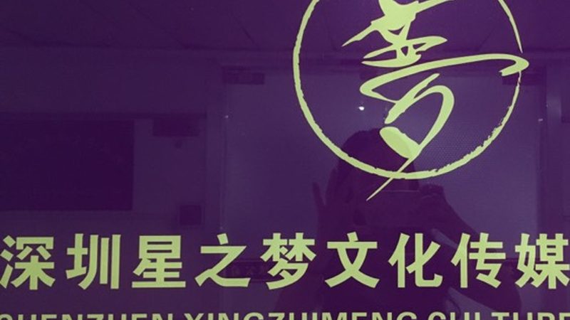 上海品牌设计公司案例解析：揭秘价格背后的考量