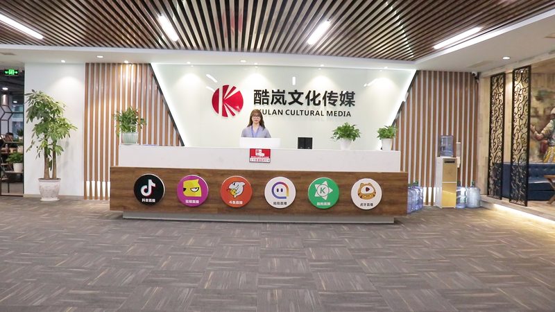 品牌策划与VI设计打包报价：揭秘背后的价值与考量