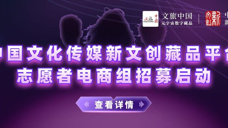 纪录片拍摄手法分类介绍：探寻影像艺术的多样表达